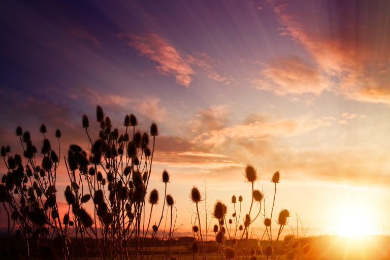 Een waardig afscheid: ‘Zo mooi, heel natuurlijk’