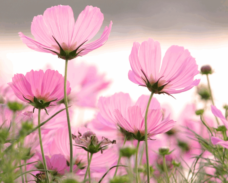 Och mamma, wat mis ik je